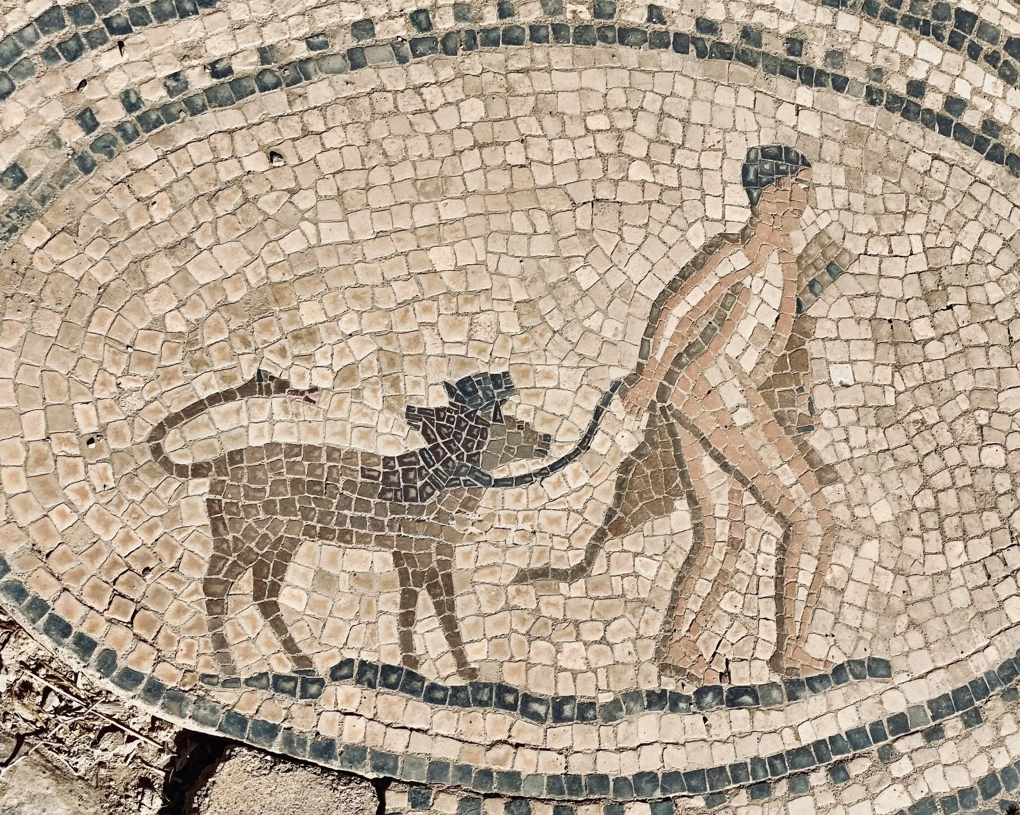 Ancient geometry
Patterns that still echo in our walls