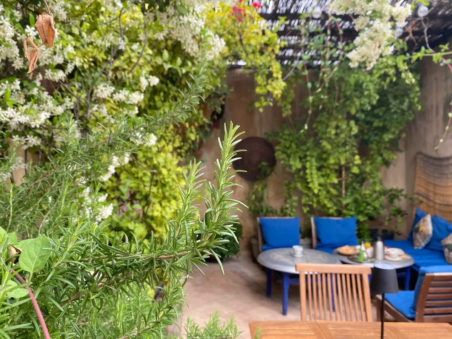 A private garden above the medina,
where time softens and attention returns to detail. #Dar7Louyat #Fes #RiadExperience #RefinedTravel SlowLuxury
PrivateTerrace DesignAndSilence