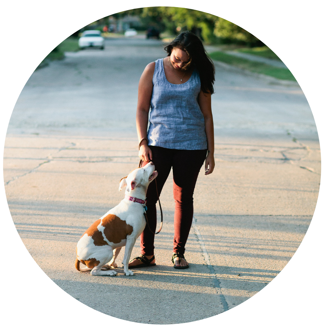 knucklehead dog training