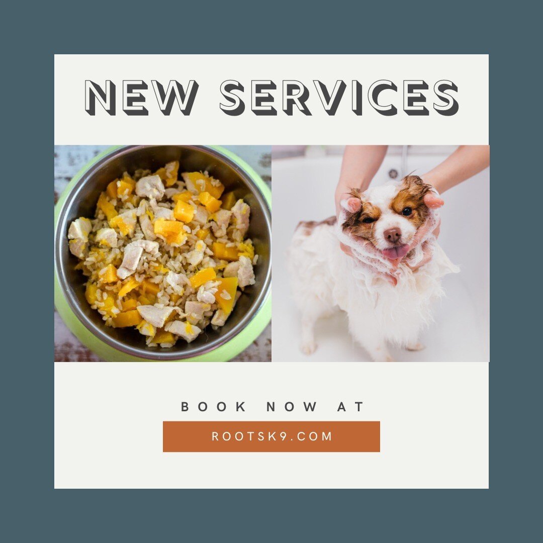 Introducing our new services to enhance your pet's stay while you're away: Grooming Service and Gourmet Treats! We understand that you want to shower your furry friend with love even when you can't be with them, and these services are designed to do 