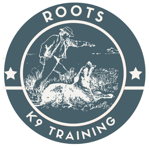 Roots K9 | Norman Oklahoma Dog Training