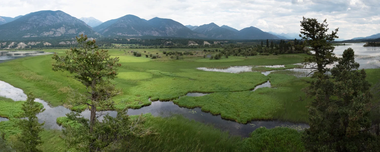 Why does effluent need to be treated - DHMO blog.jpeg