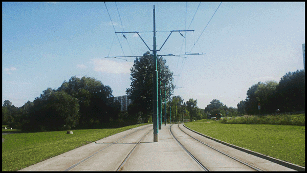 poles-smallagain.gif