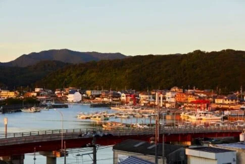 AIA Japan - Small Regionalism