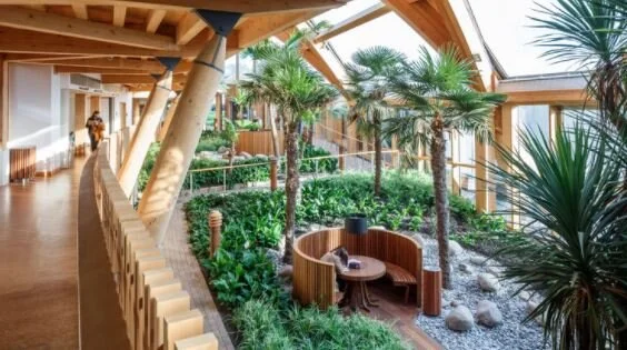 AIA UK - Navigating a Pathway to Net Zero