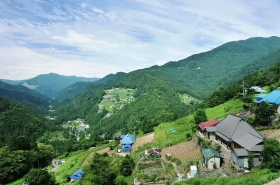 AIA Japan - Learning from Japanese traditional villages: Reflecting ecological knowledge on architecture utilizing simulation