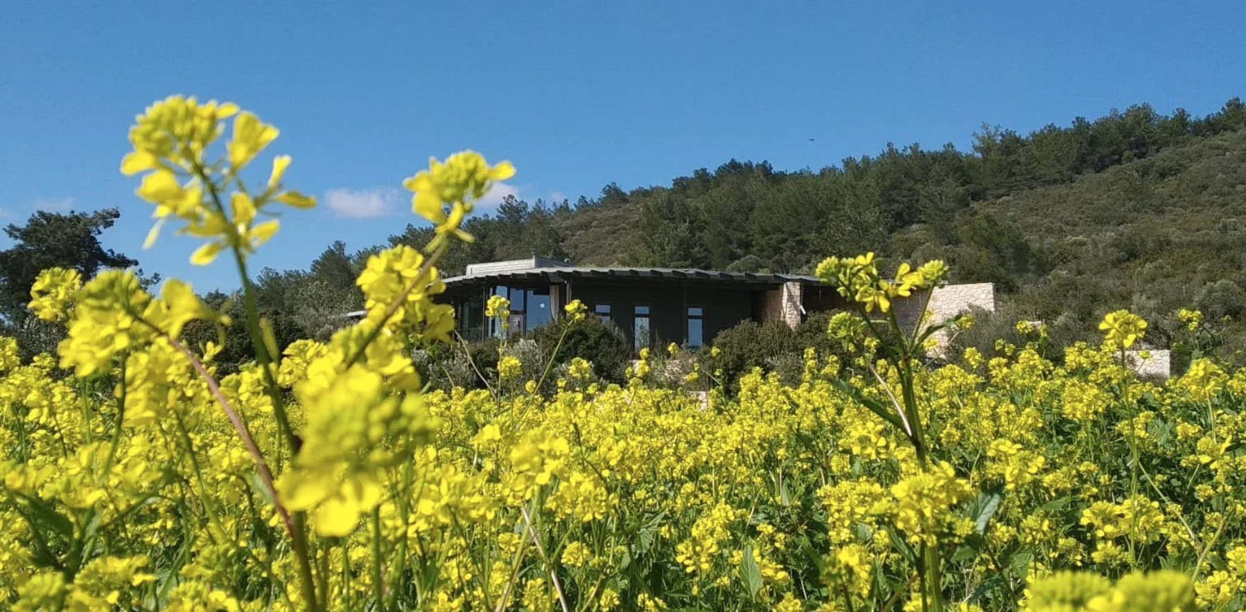 Nest Residence. Photo credit: Metehan Özcan