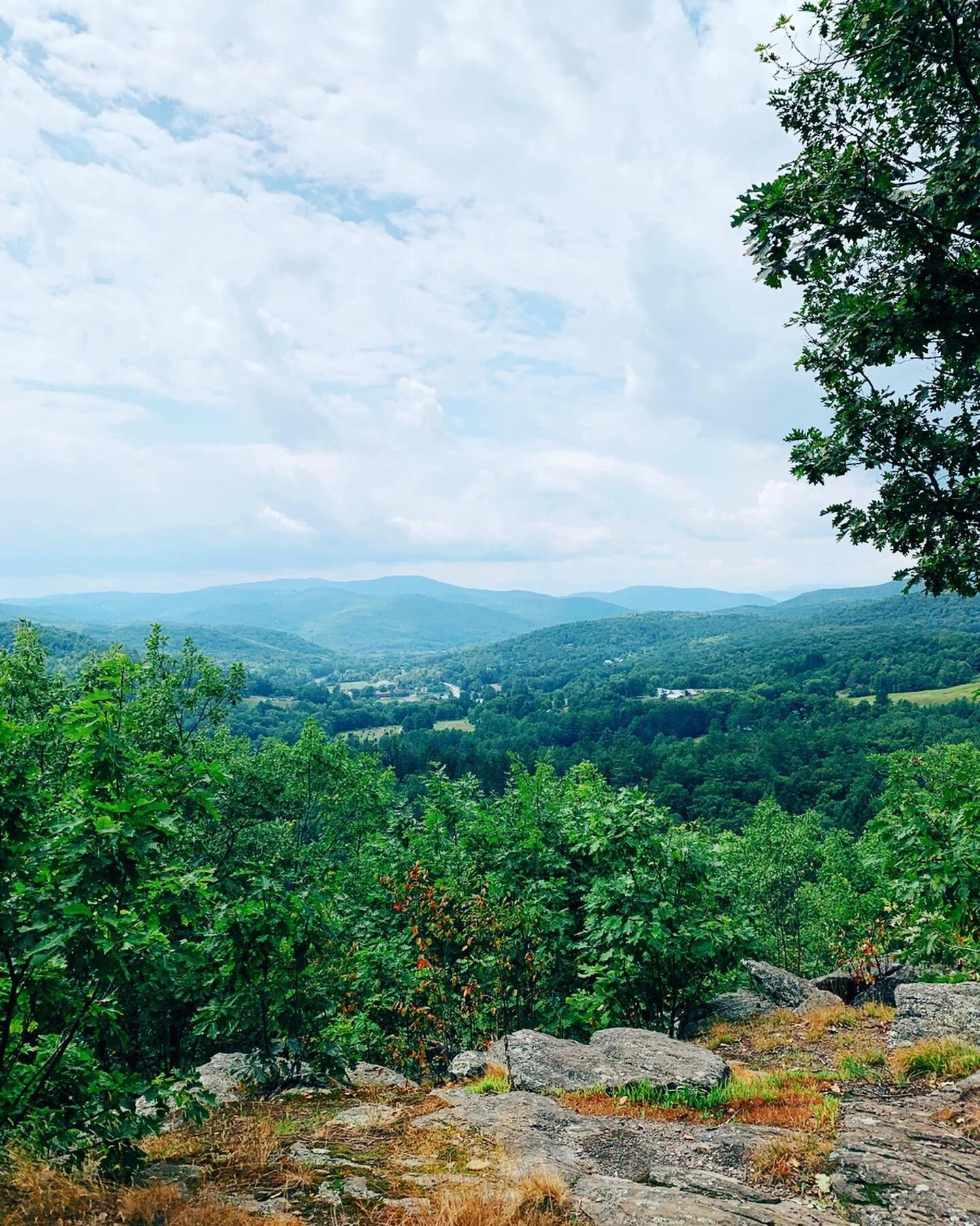 last summer 🌿🌳