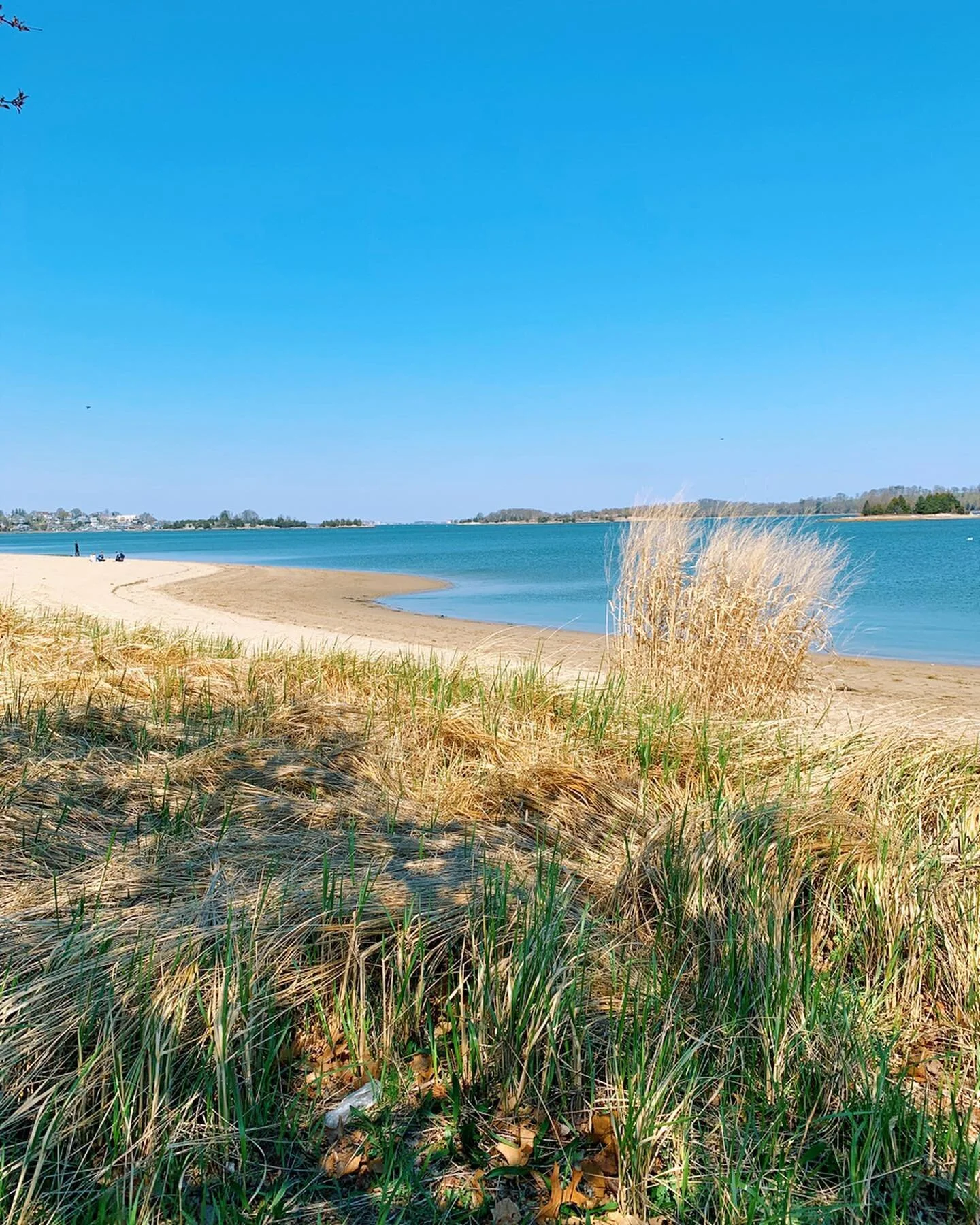 What a day 🌞🙌🏻