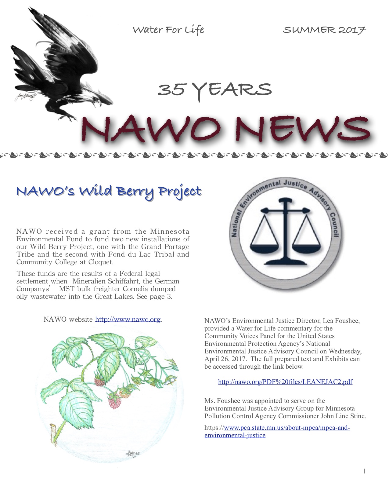 NAWO NEWS/2017