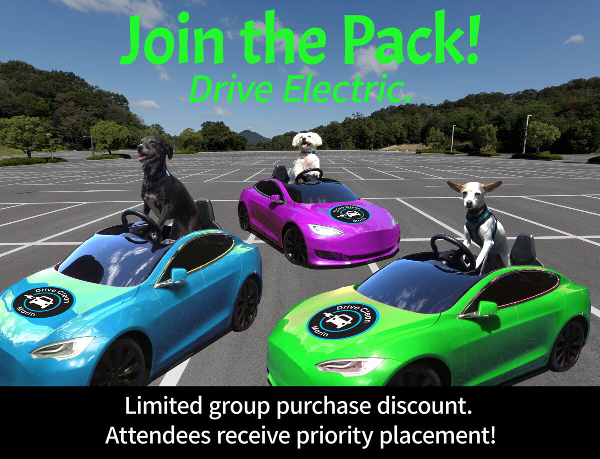 DCM_Test Drive_Dogs_Group purchase msg.jpg