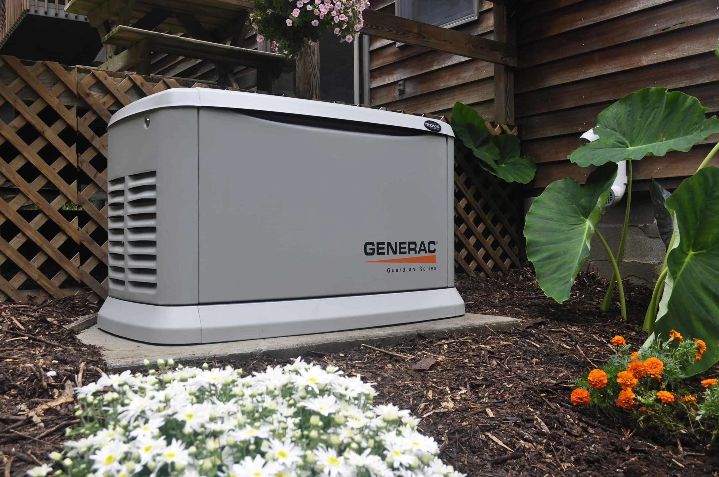 Starlink Installation — Pro Circuit Electrical