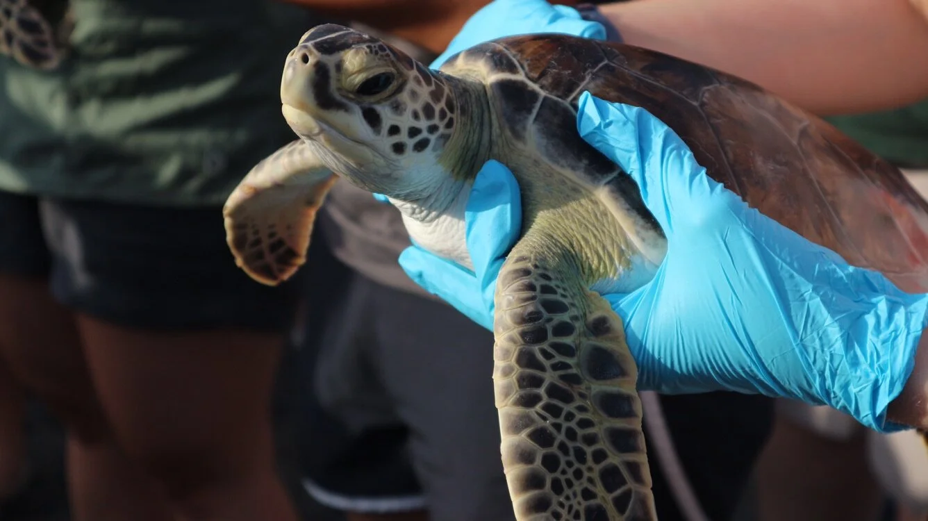 Dallas Zoo Conservation Story // Katy Trail Weekly 