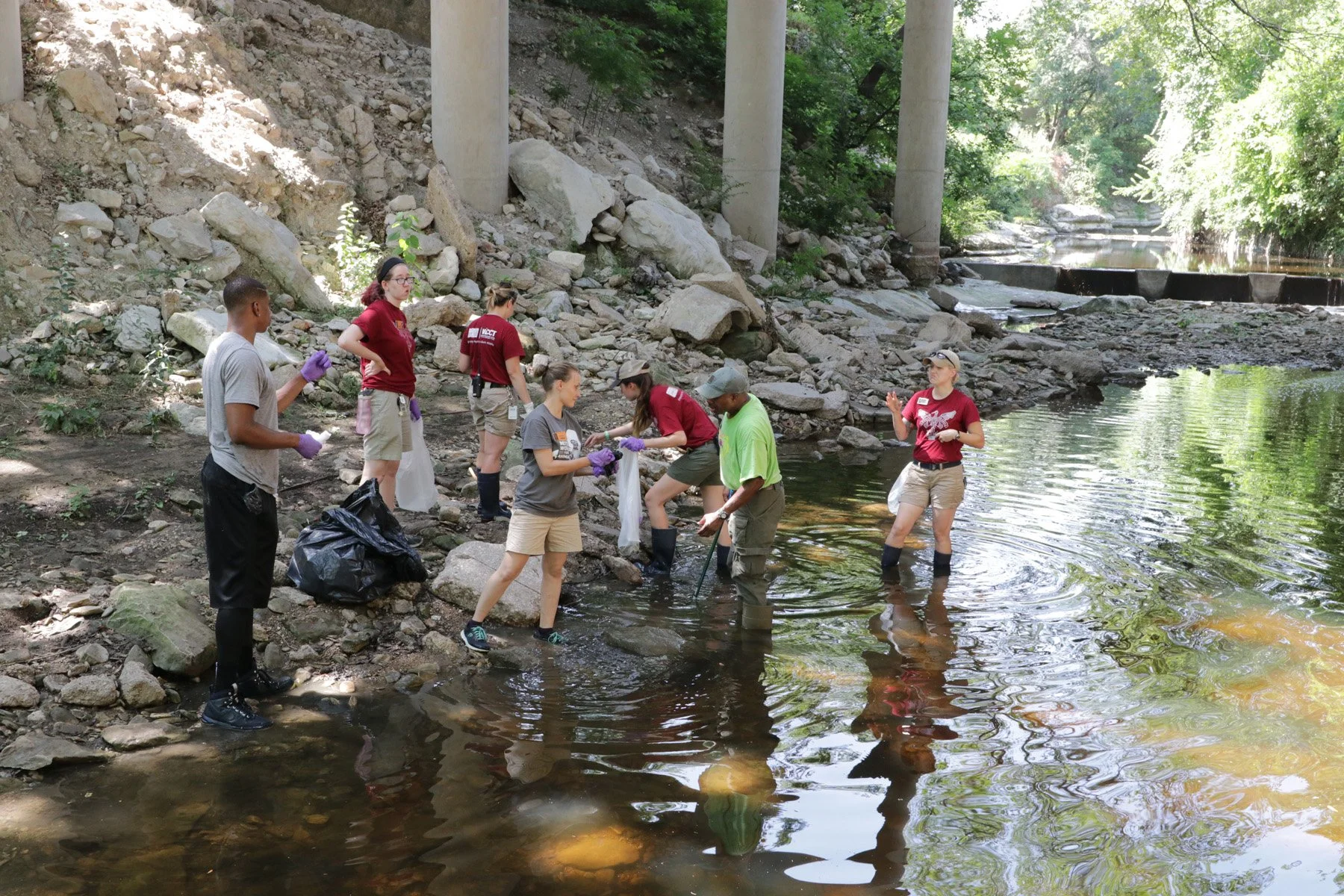 Take Action With The Dallas Zoo To Make Dallas (And The World) A Cleaner Planet