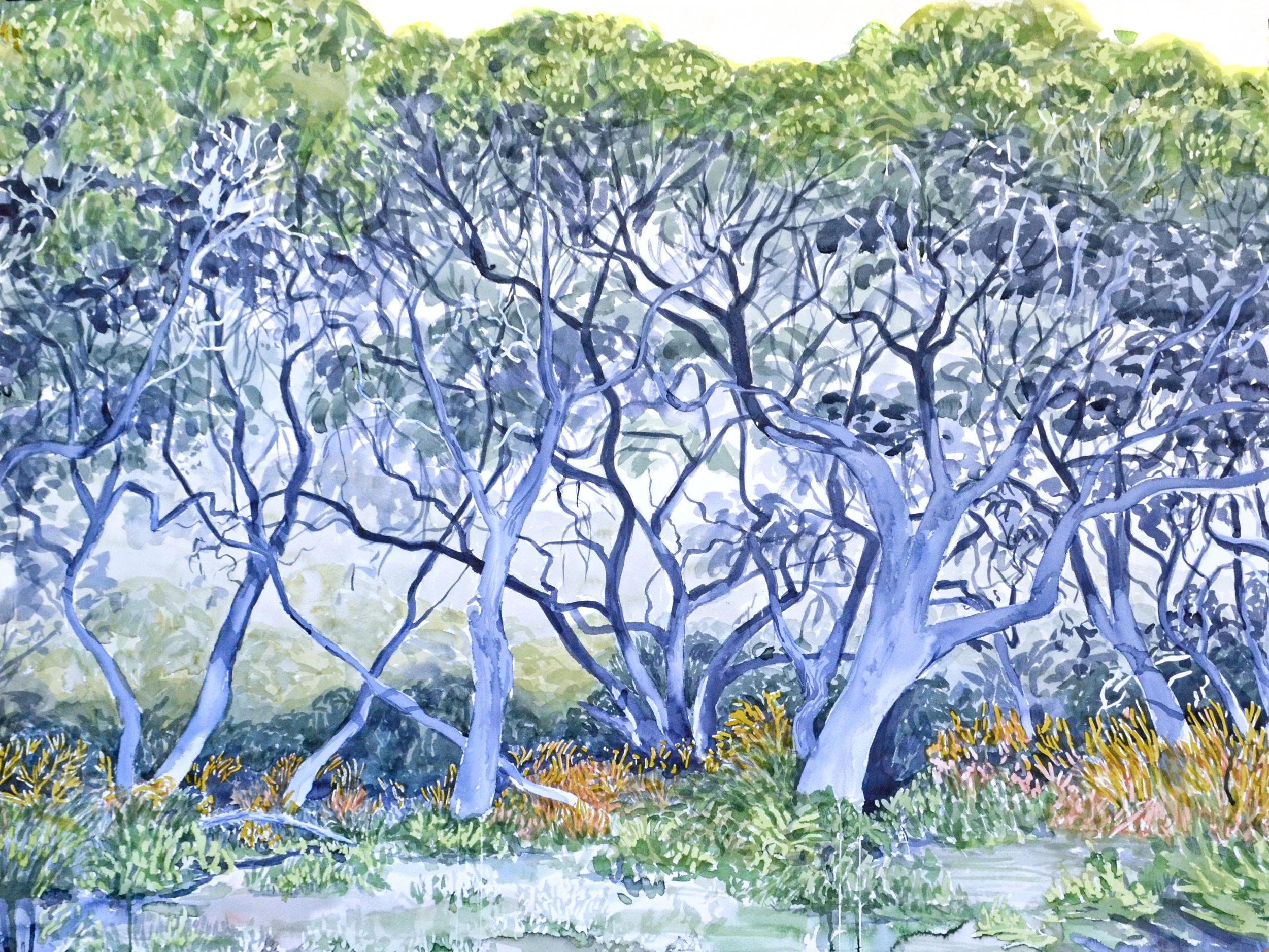 Tea Trees (2020) Watercolour on cotton paper, 90 x 120cm.
