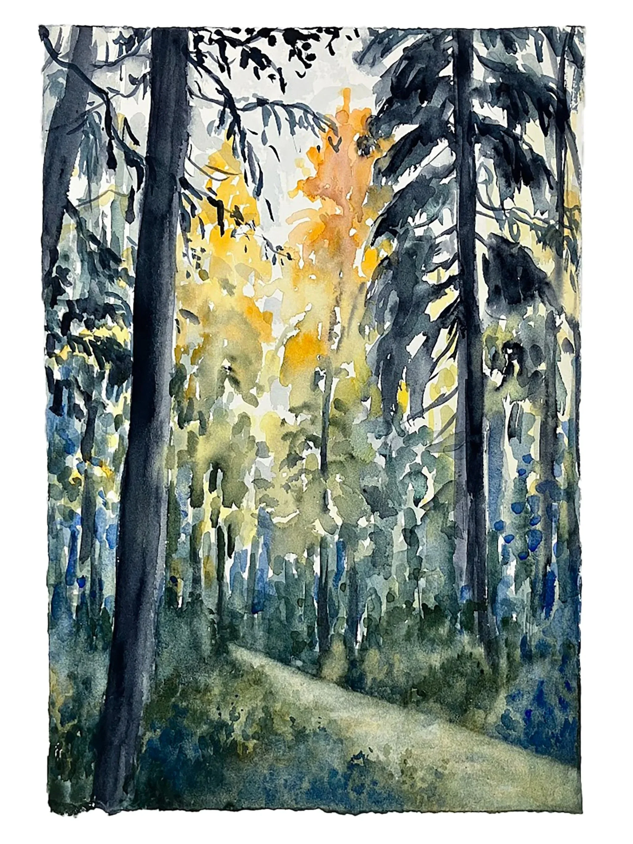 Autumn Forest