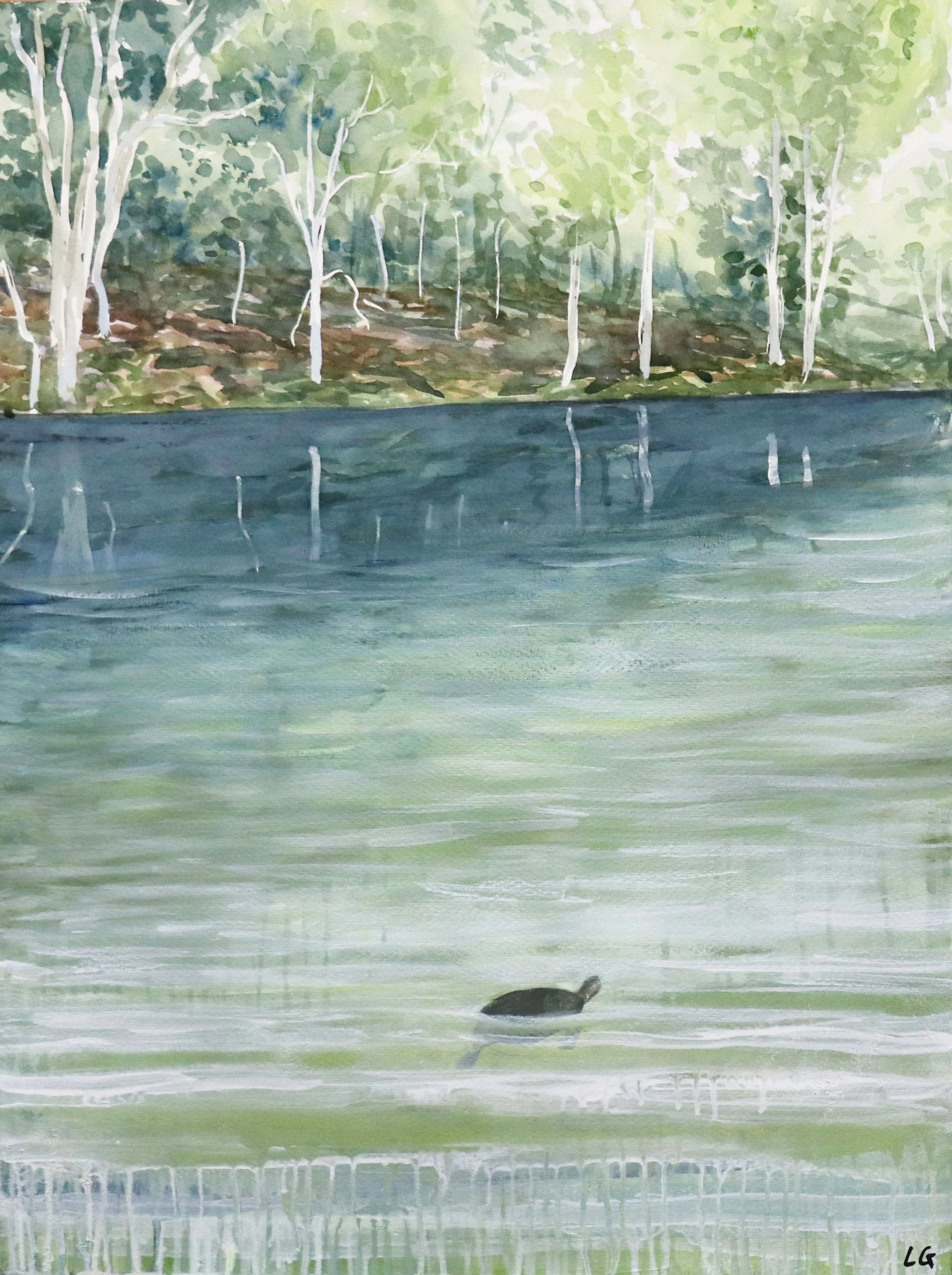  River Turtle (2023)   Watercolour, acrylic, and gouache on cotton paper, 76 x 56cm.