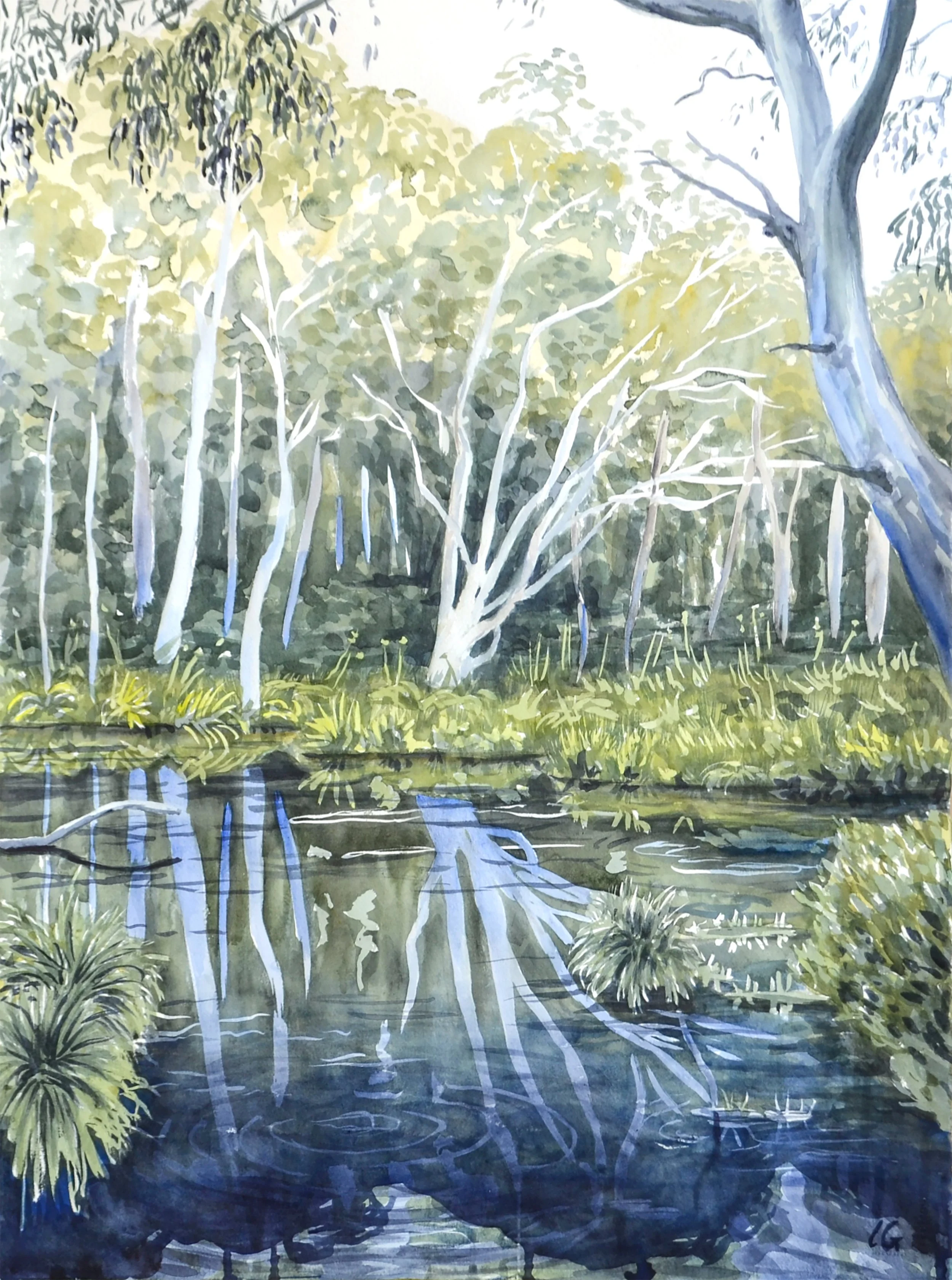Bush Reflections (2021) Watercolour on cotton paper, 76 x 56cm.
