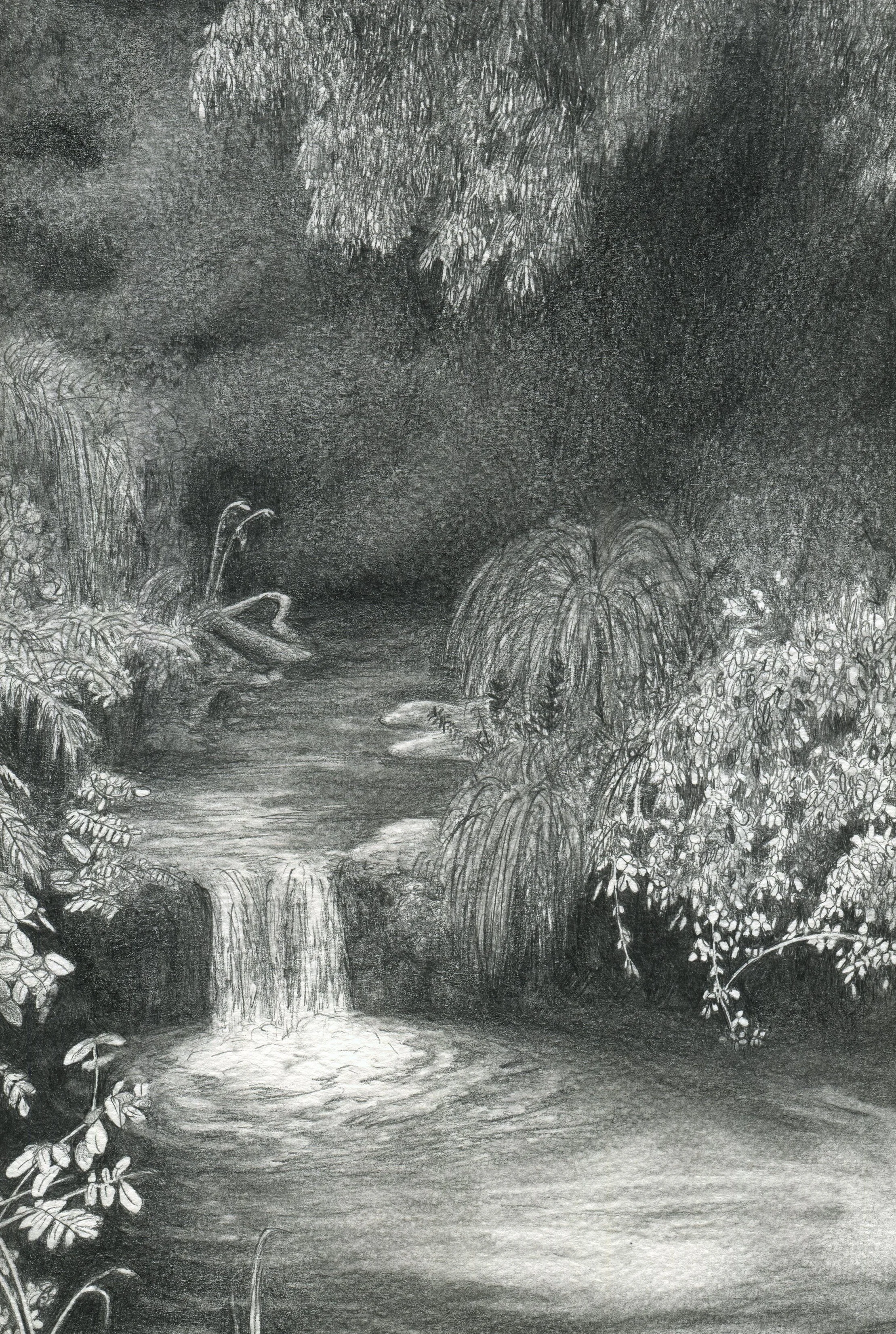 Waterfall near Timboon