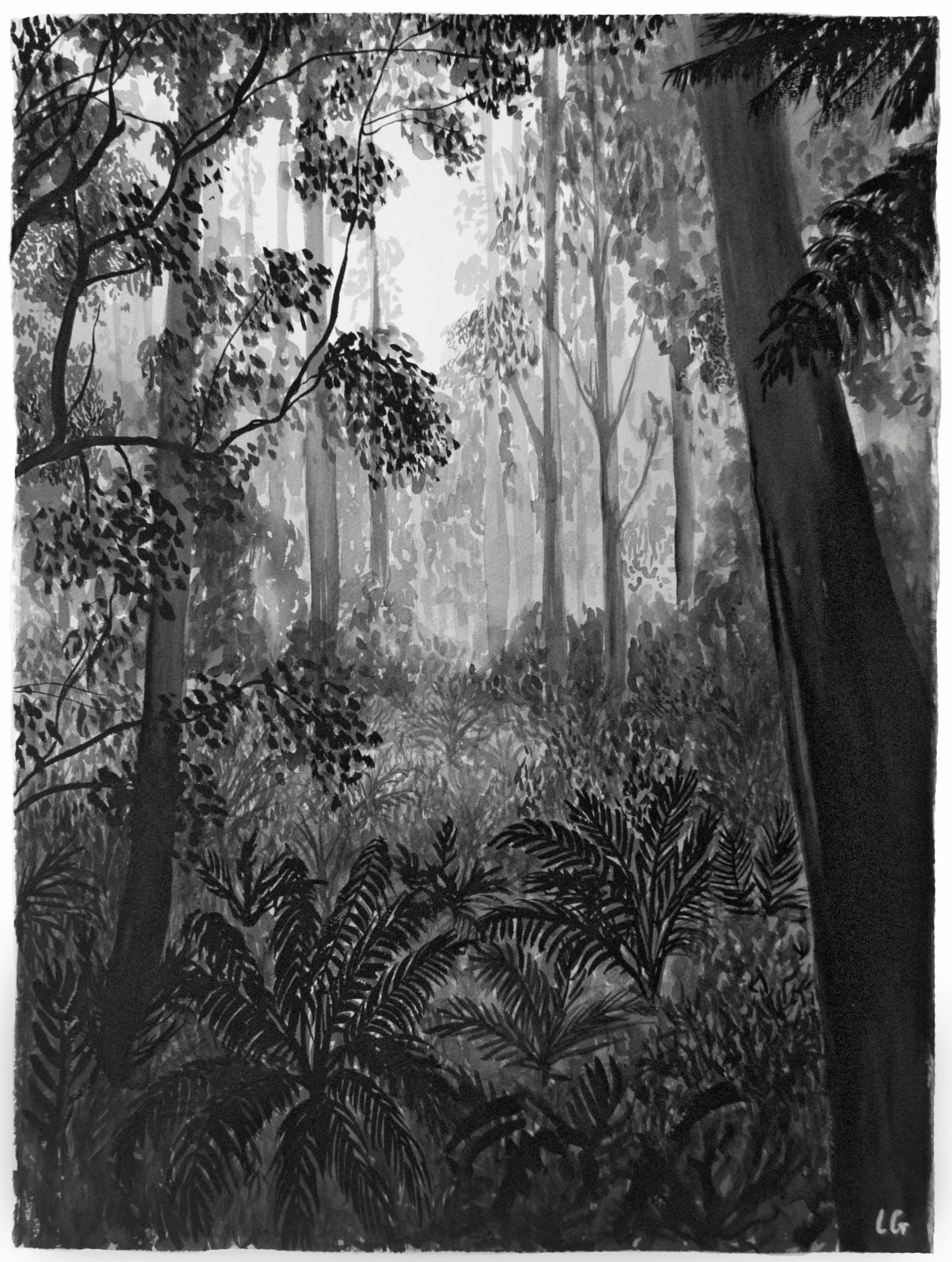 Sherbrooke Forest