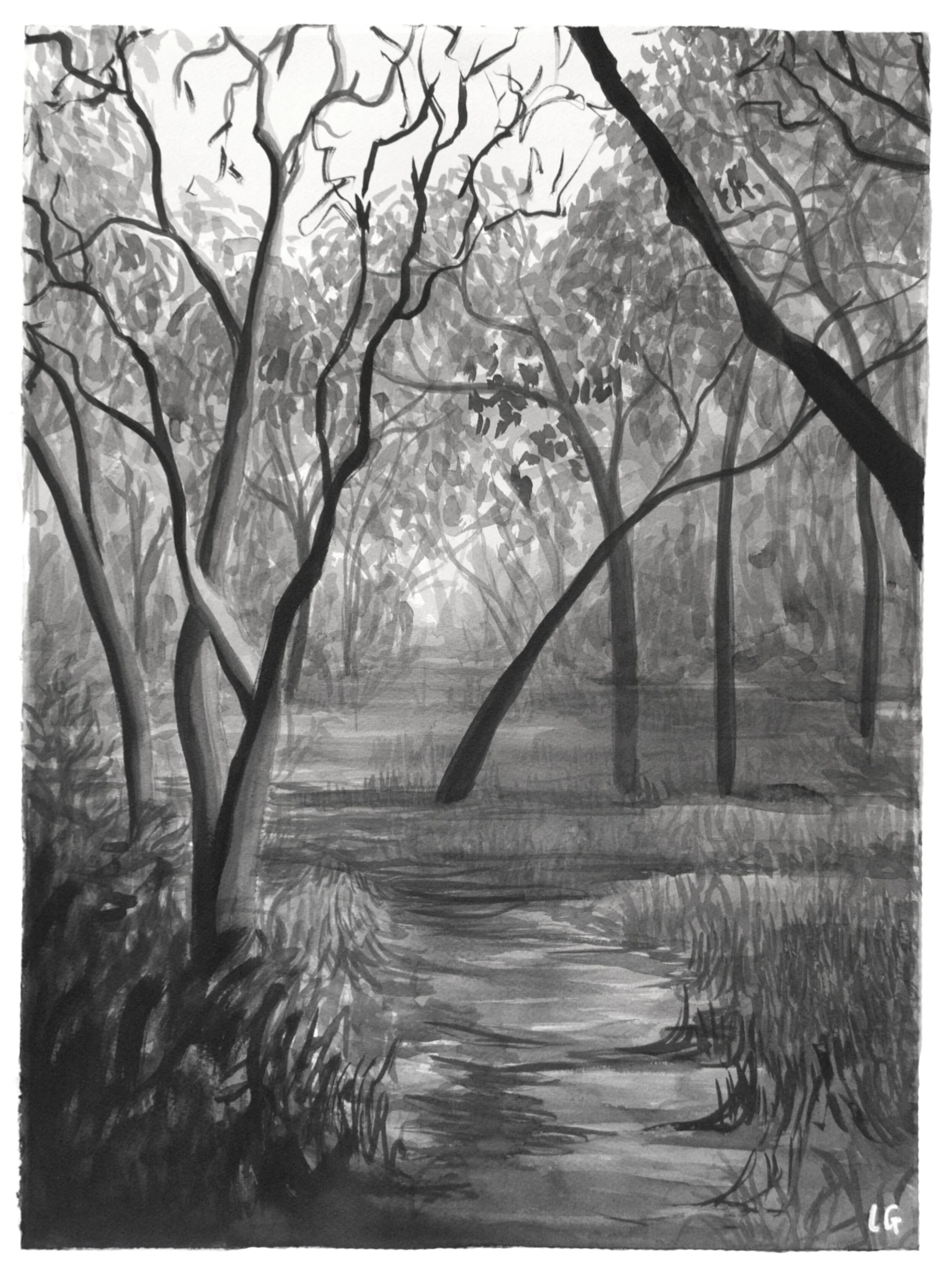 Stringybark bush track