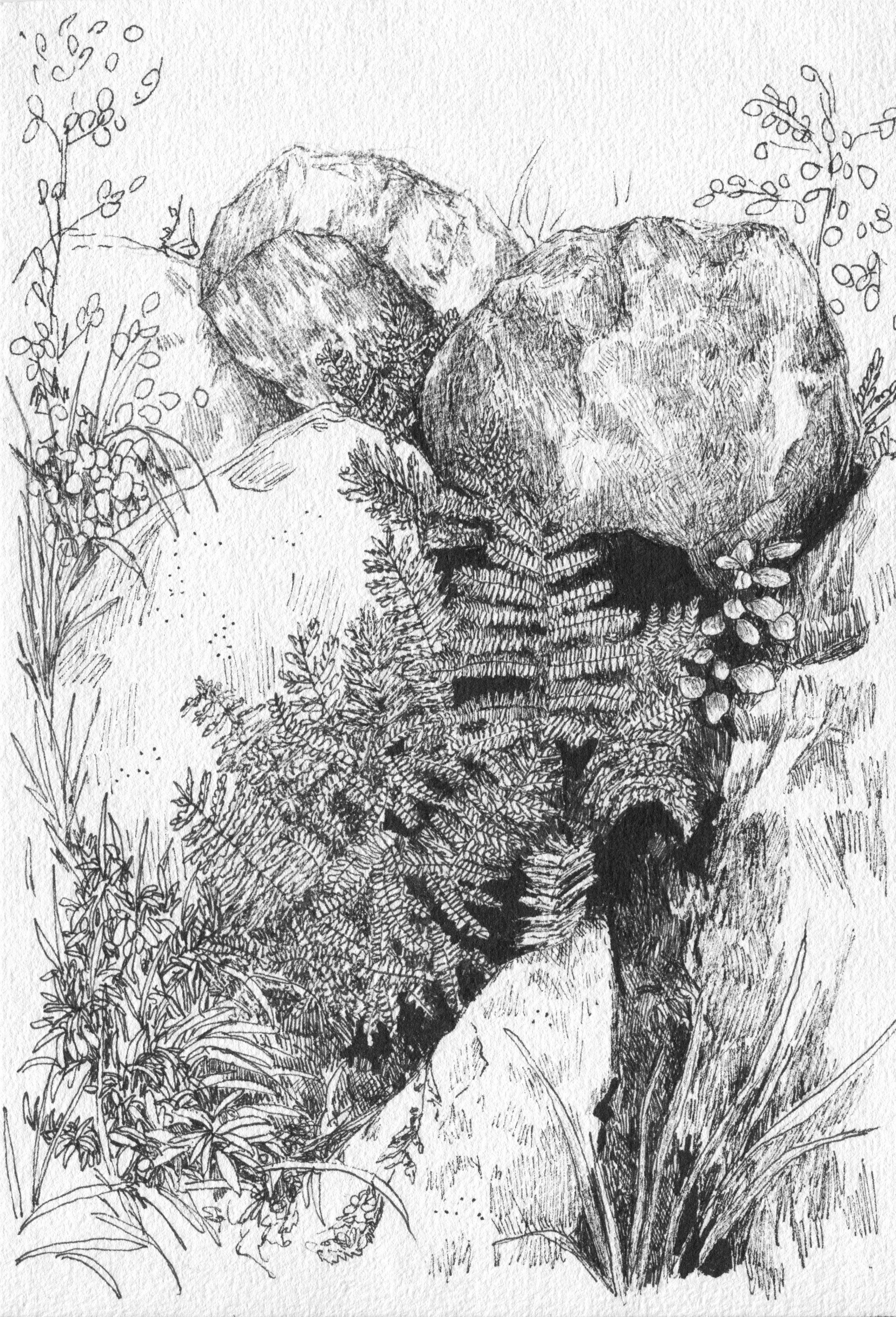 Forest Study (Finland)