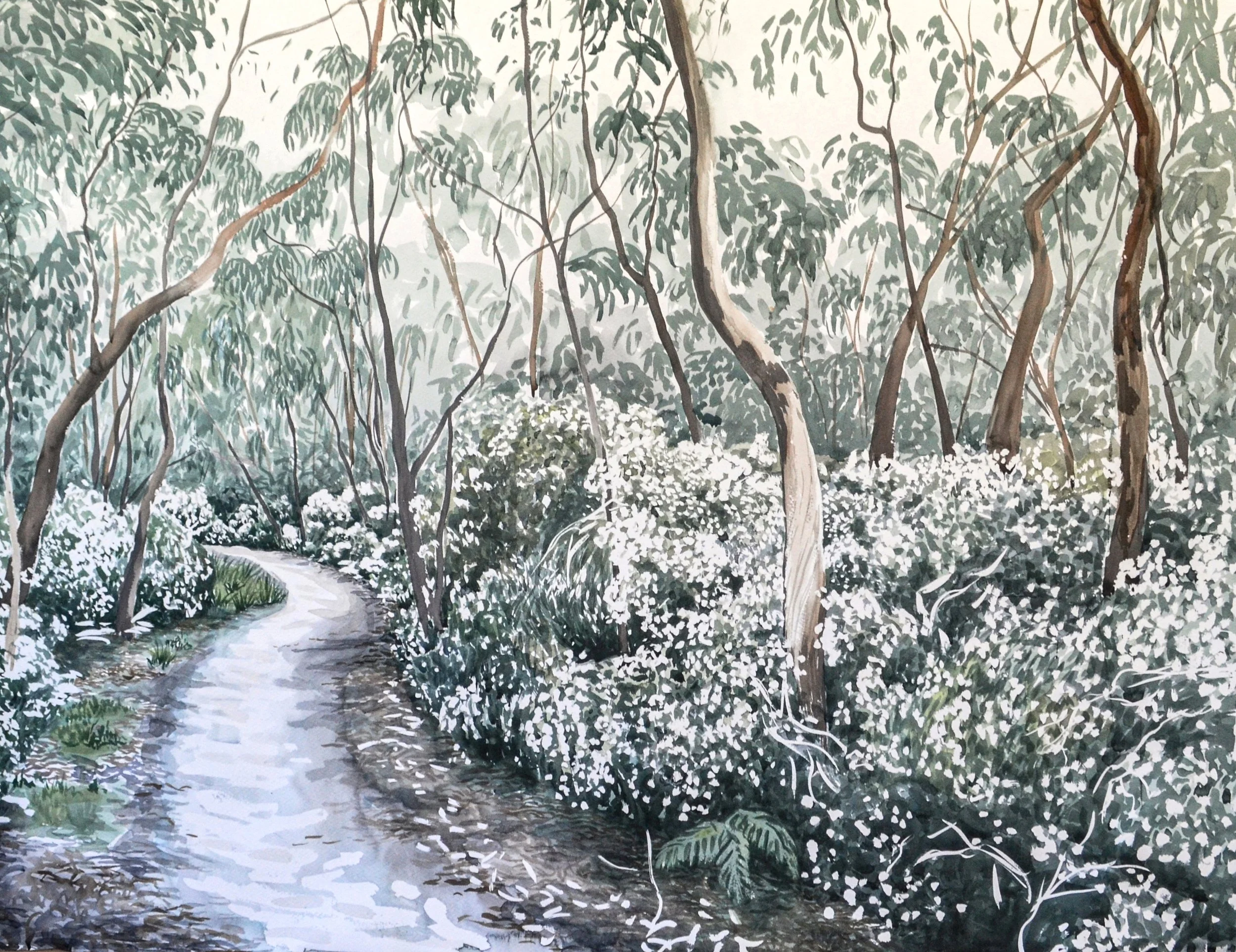 Flowering Trail (2020) Watercolour on cotton paper, 90 x 120cm.