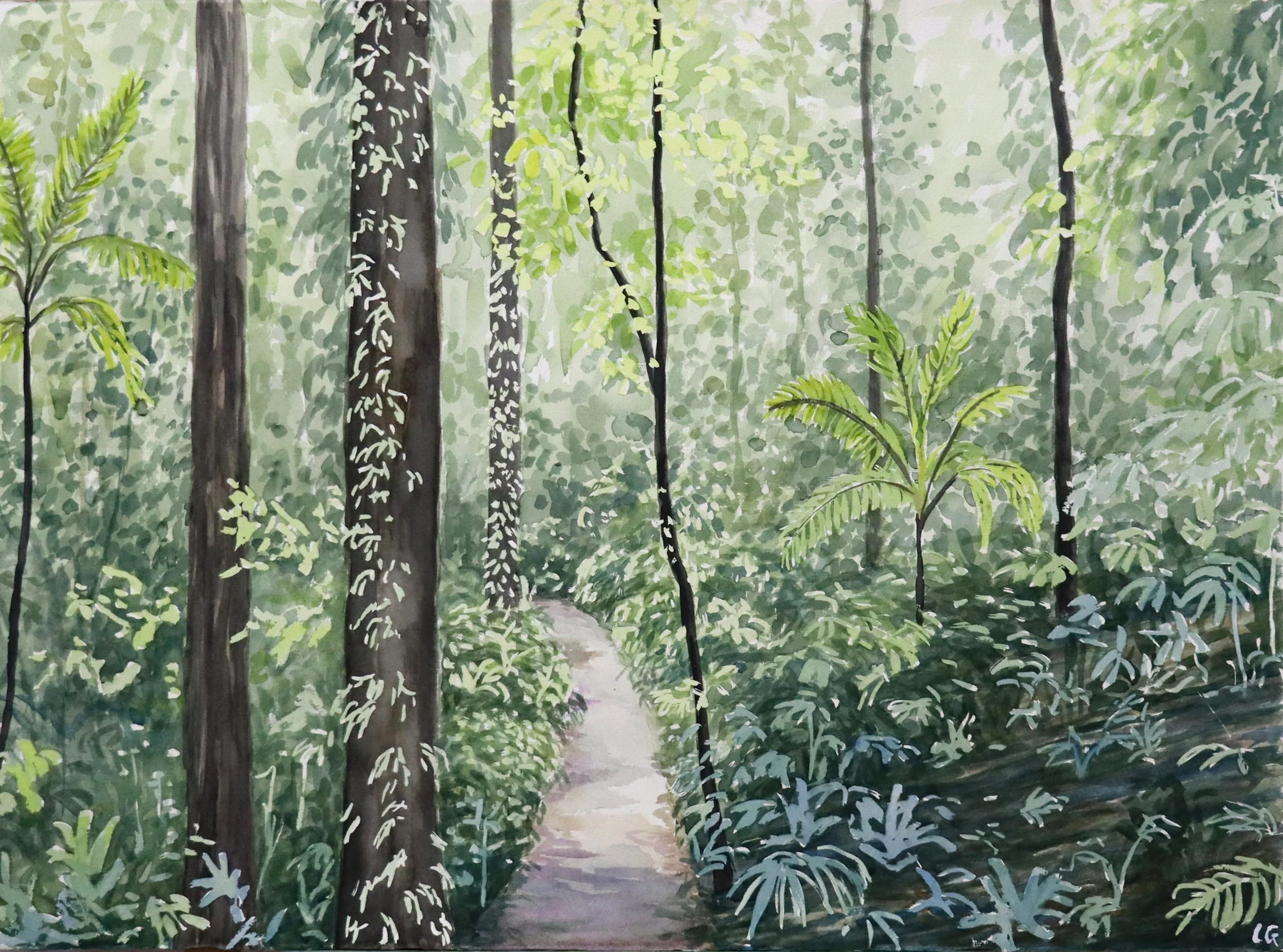  Rainforest Walk (2023)   Watercolour on cotton paper, 56 x 76cm.