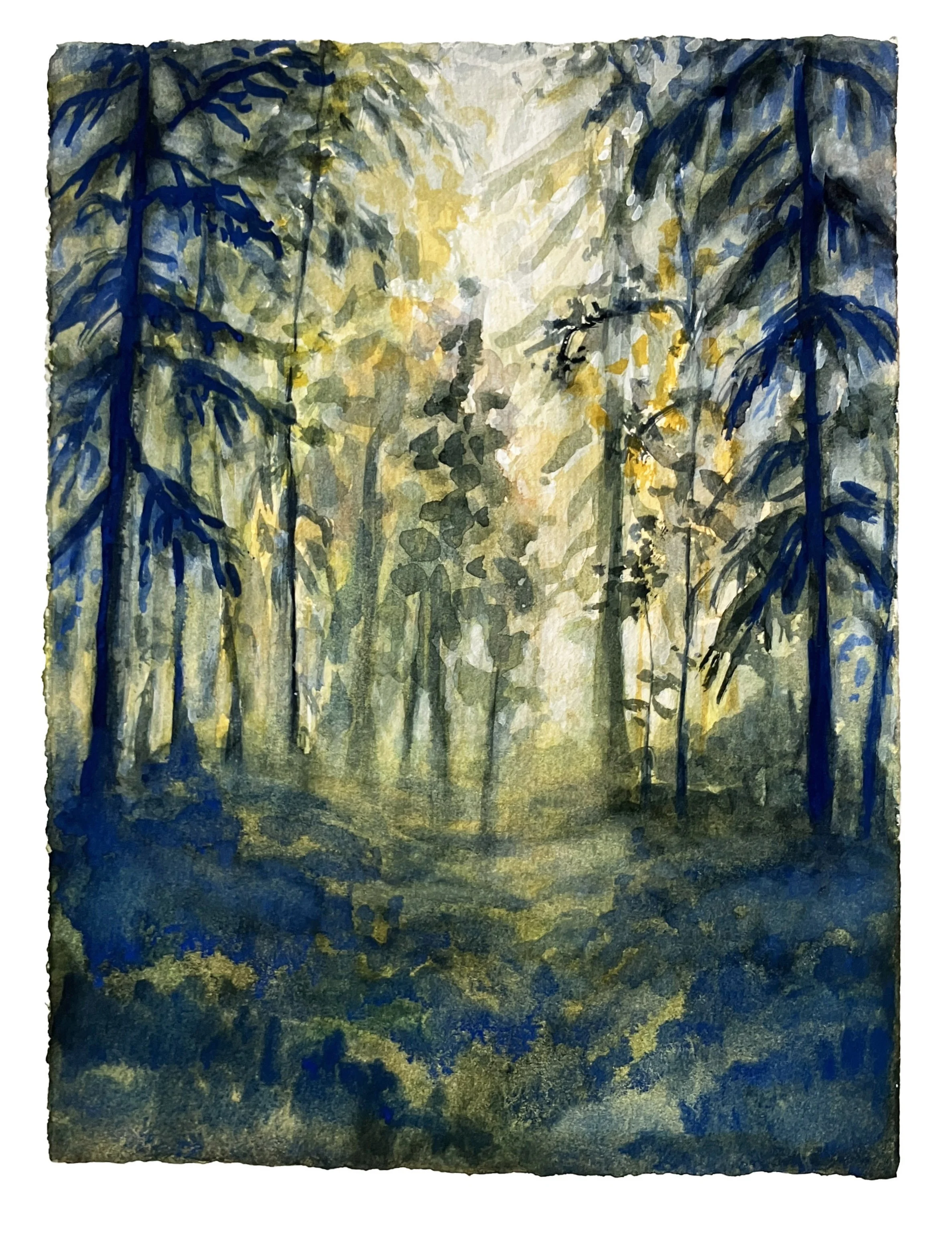 Evening in the Forest