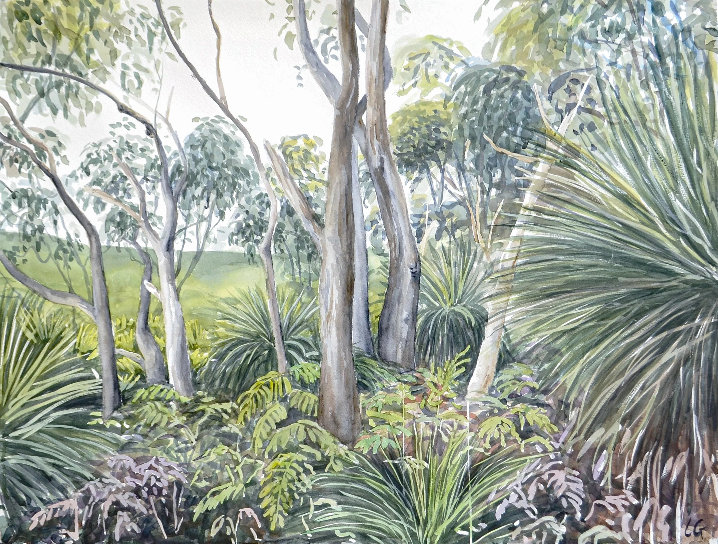 Xanthorrhoea and Stag Trees (2021) Watercolour on cotton paper, 65 x 85cm.
