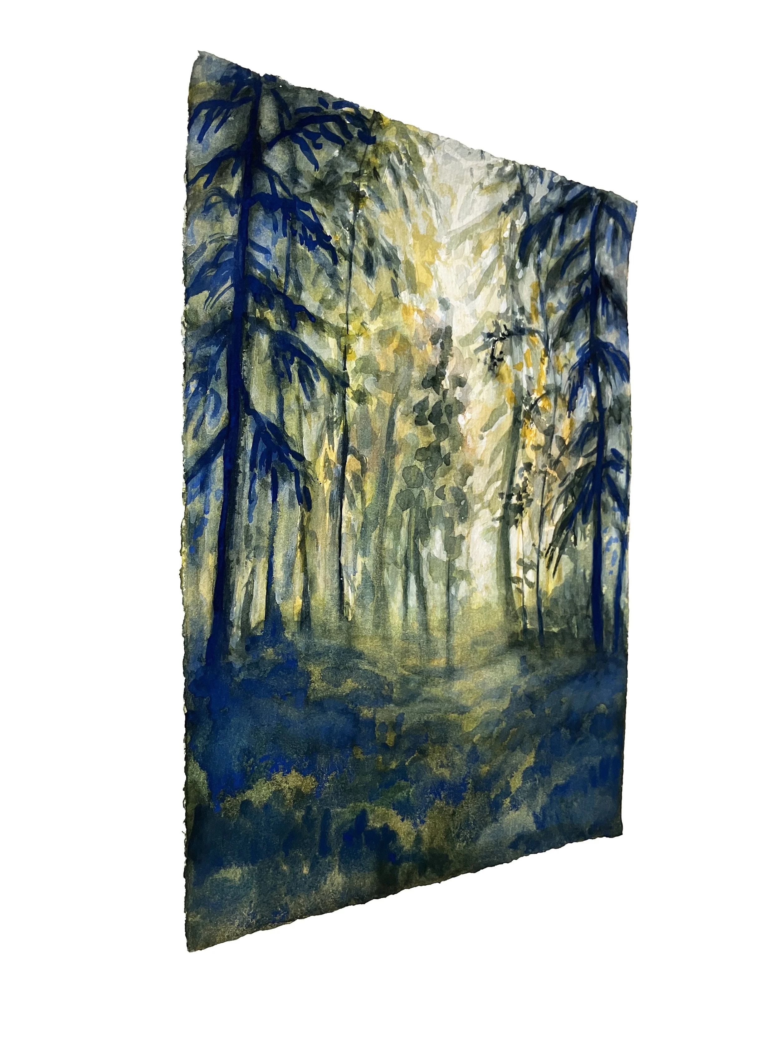 Evening in the Forest_side.JPG