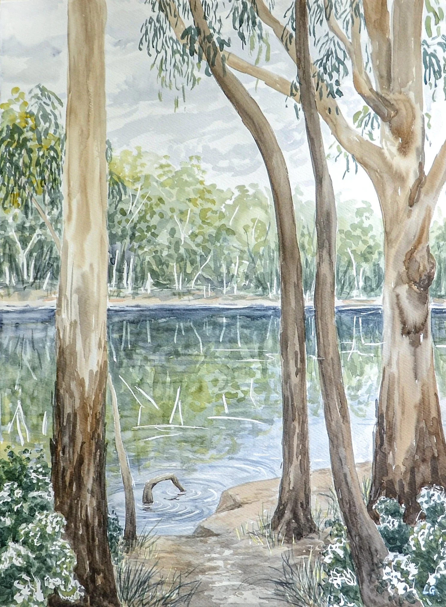 Yarrawonga Reflections (2022)   Watercolour on cotton paper, 76 x 56cm.