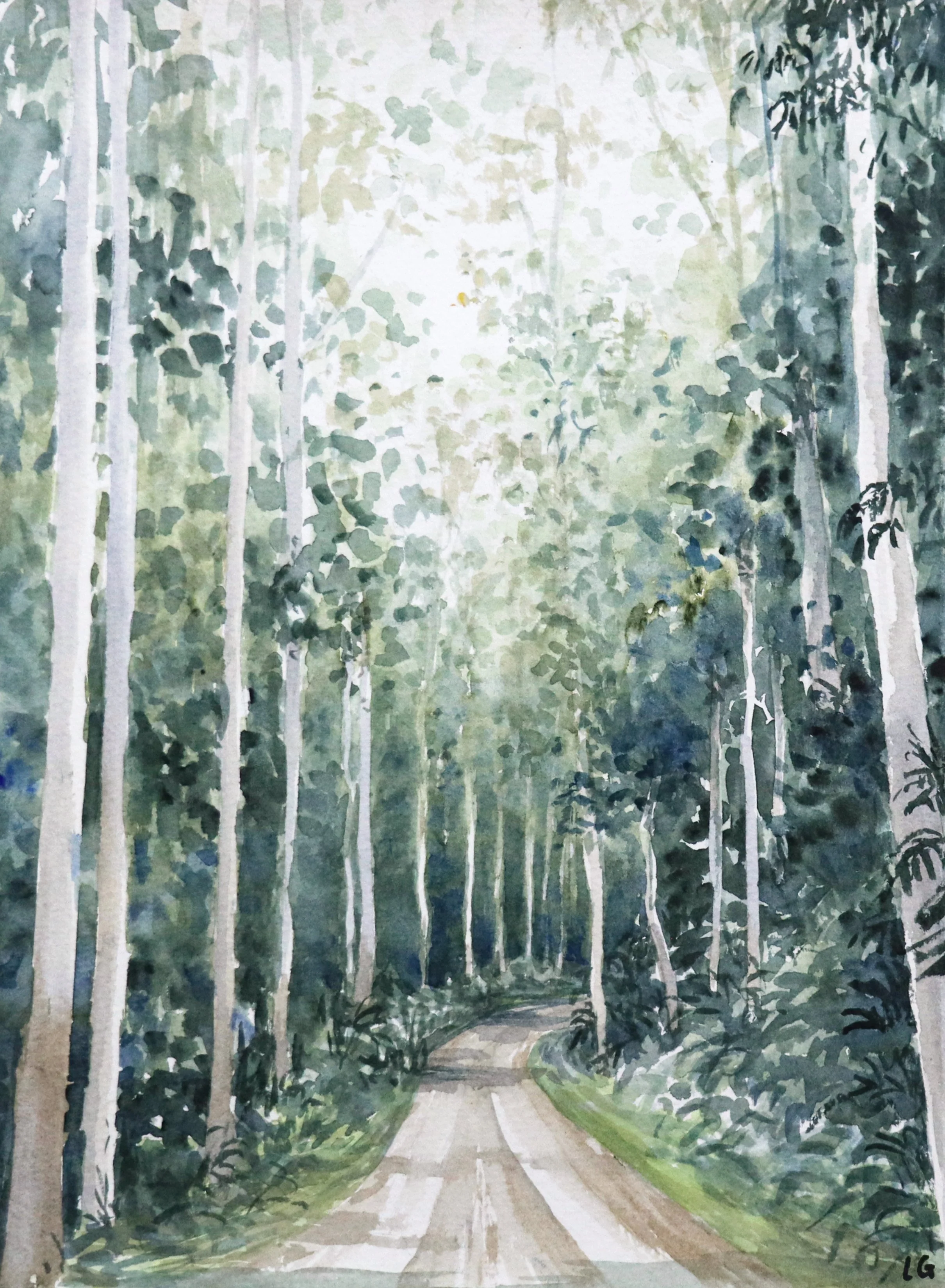  Bush Camp Road (2023)   Watercolour on cotton paper, 38 x 28 cm.