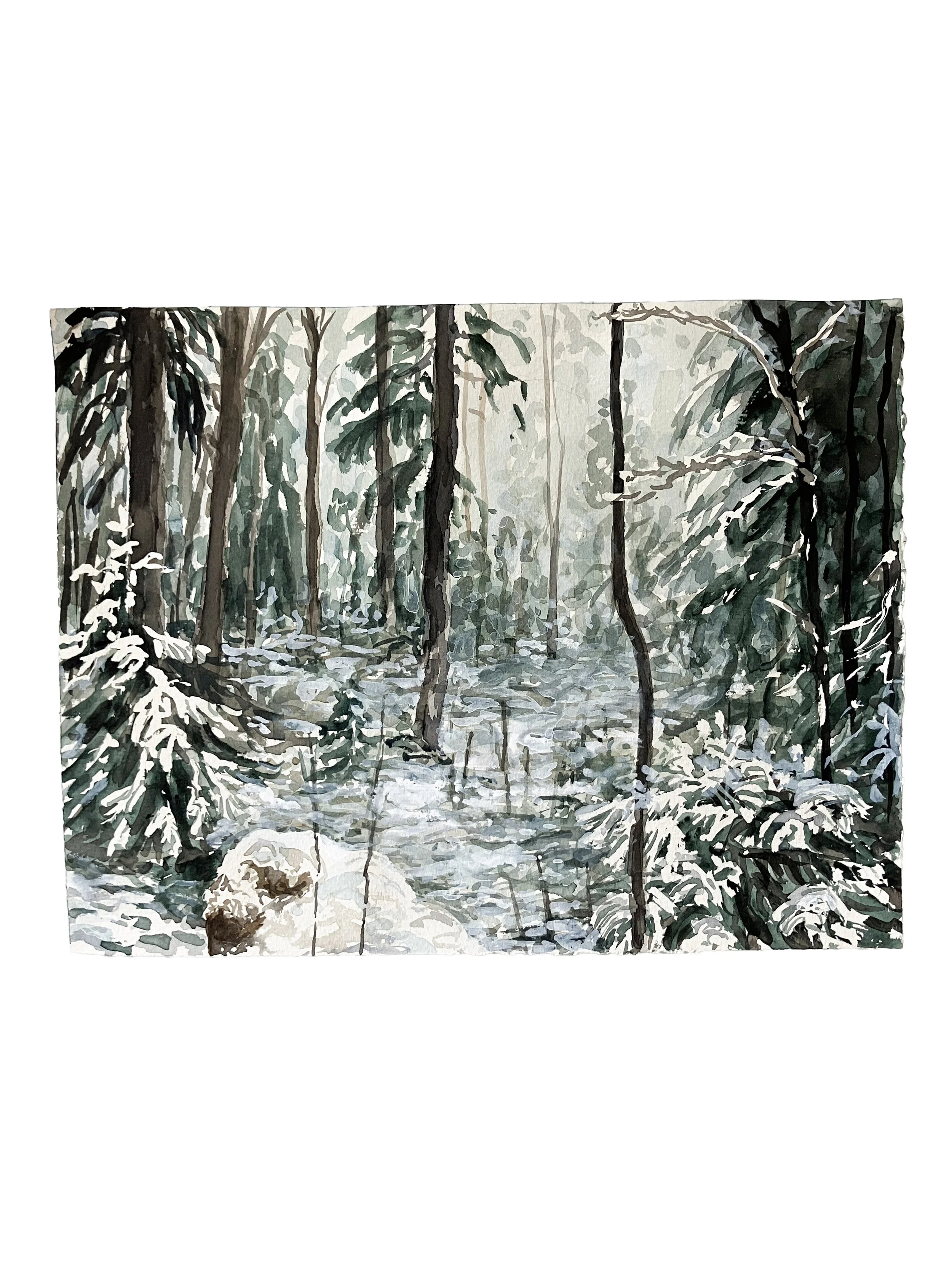 First Snow_background.JPG