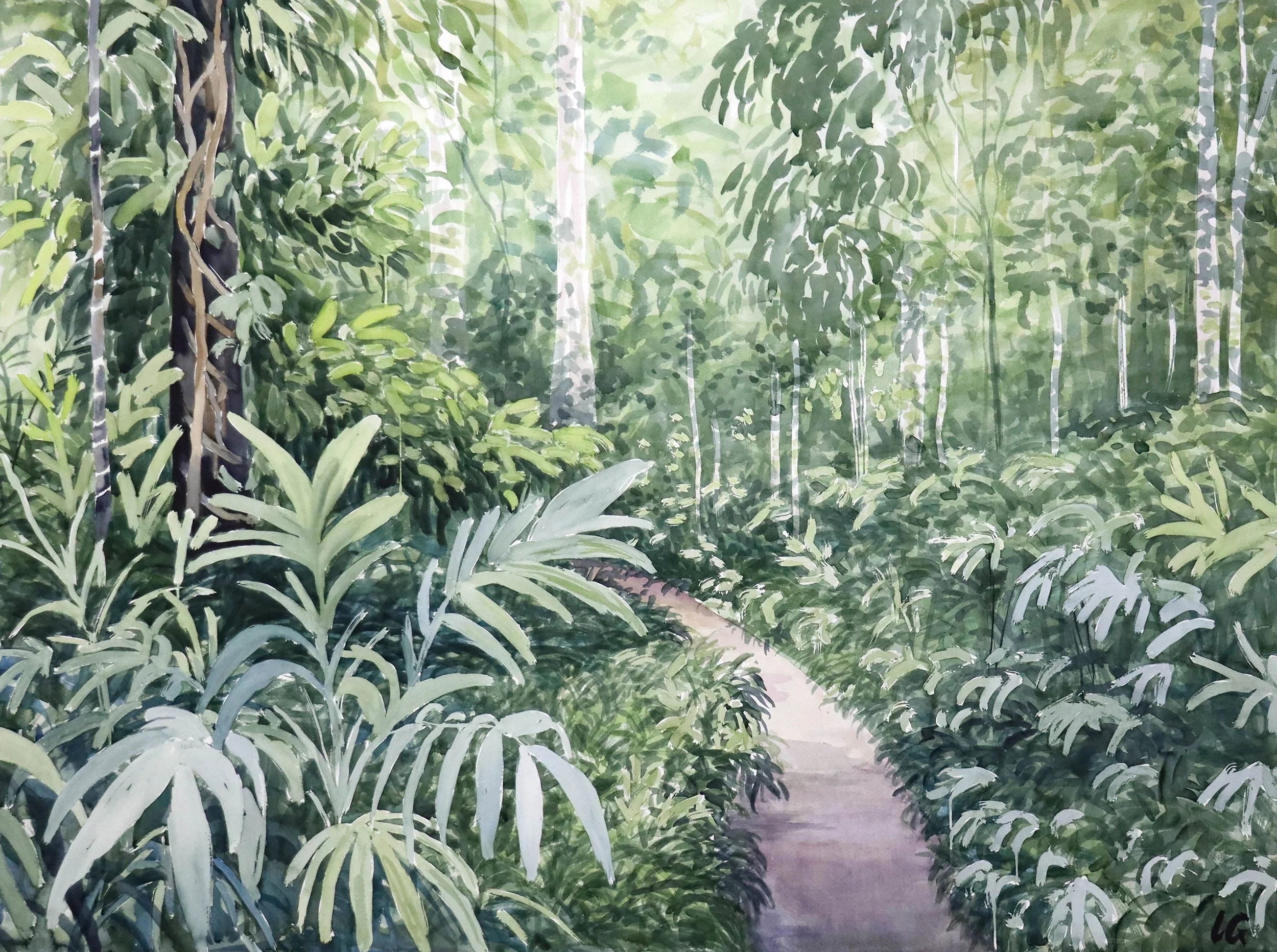 Dorrigo Walk (2023) Watercolour on cotton paper, 90 x 120cm.