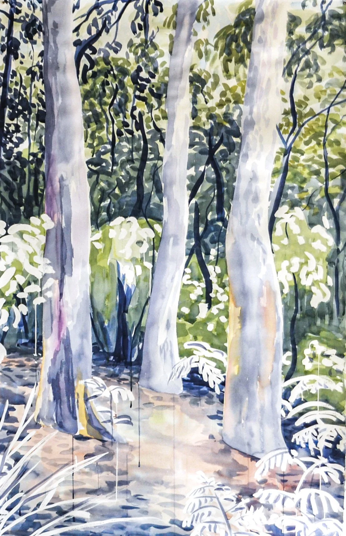 Three Angophoras (2020) Watercolour on cotton paper, 150 x 100cm.