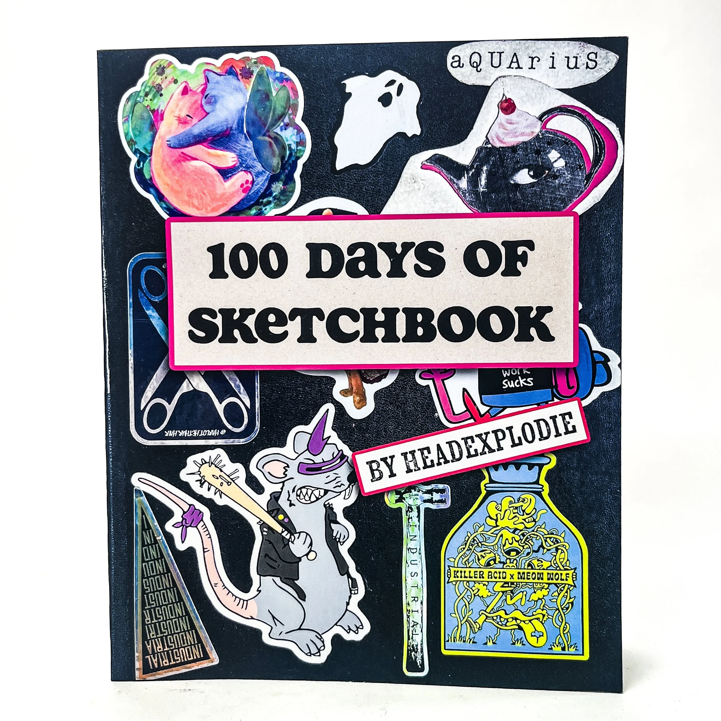 100 day front cover square-1.jpg