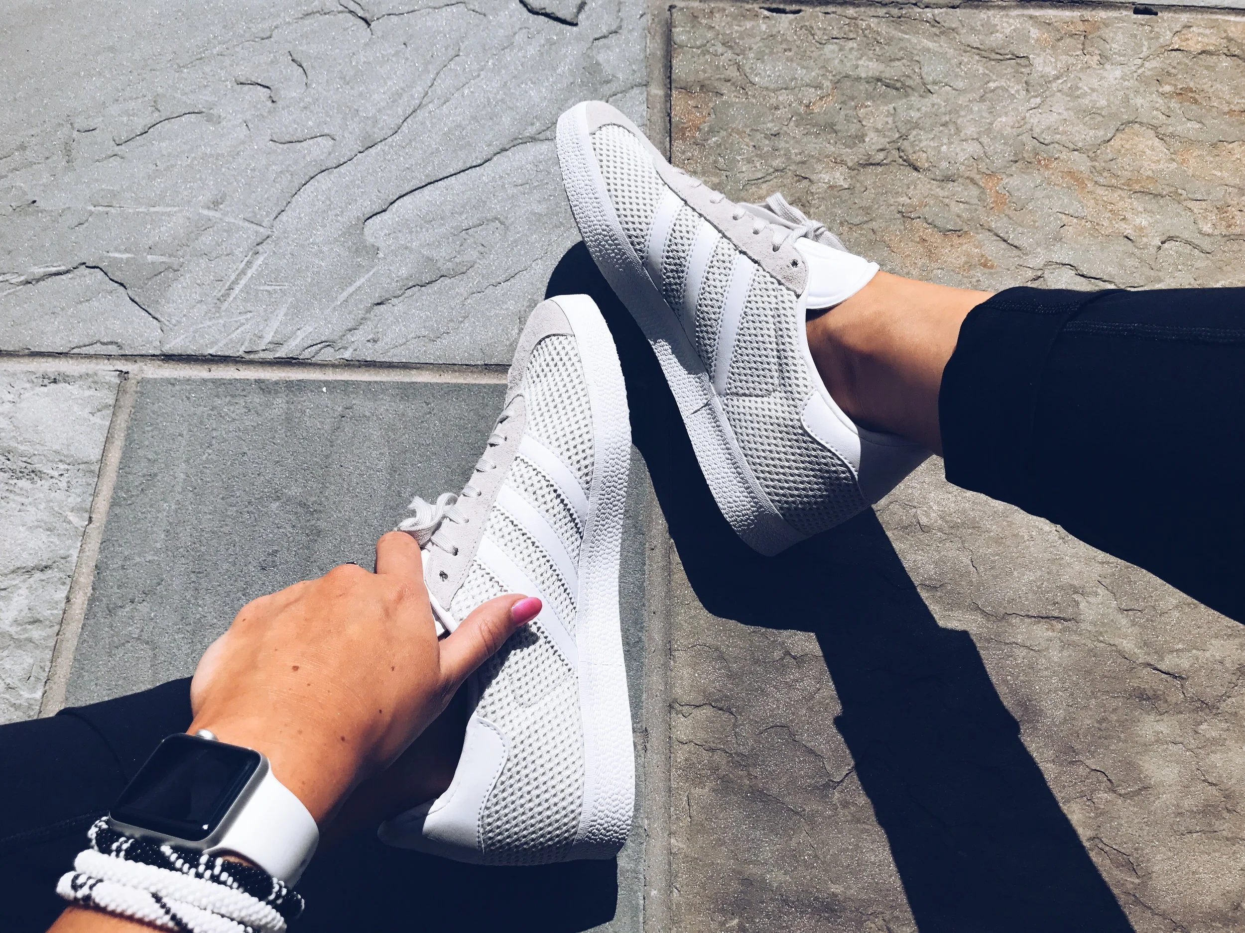 gazelle mesh