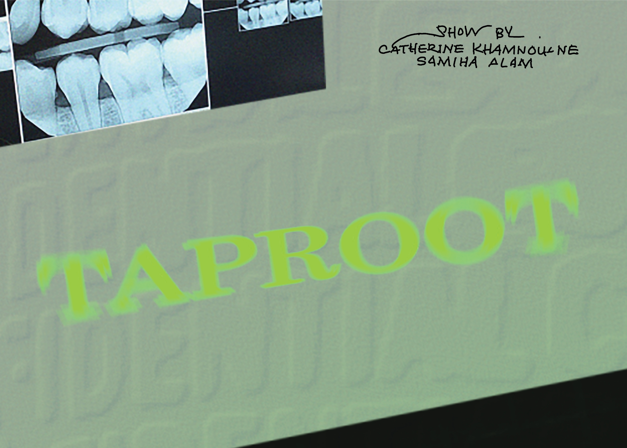 TAPROOT_Postcard_SocialMedia.jpg