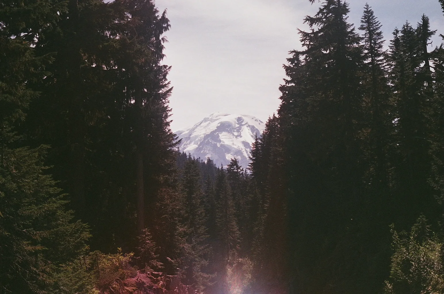 64290023.jpg