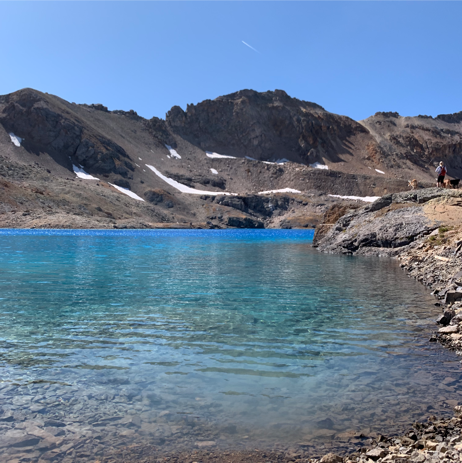 Screen Shot 2021-04-21 at 9.26.15 AM.png