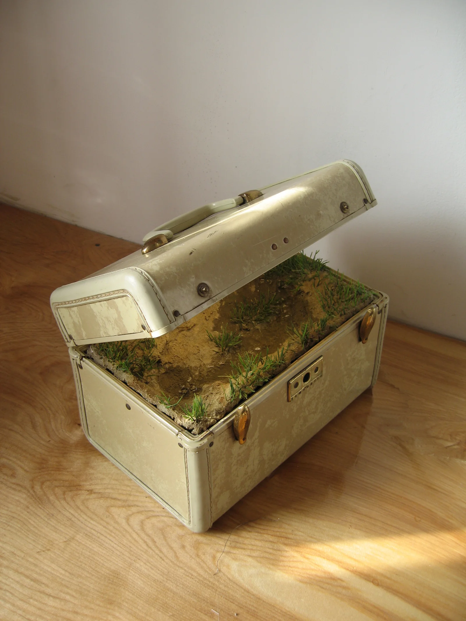 beigecase-landscapesm.jpg