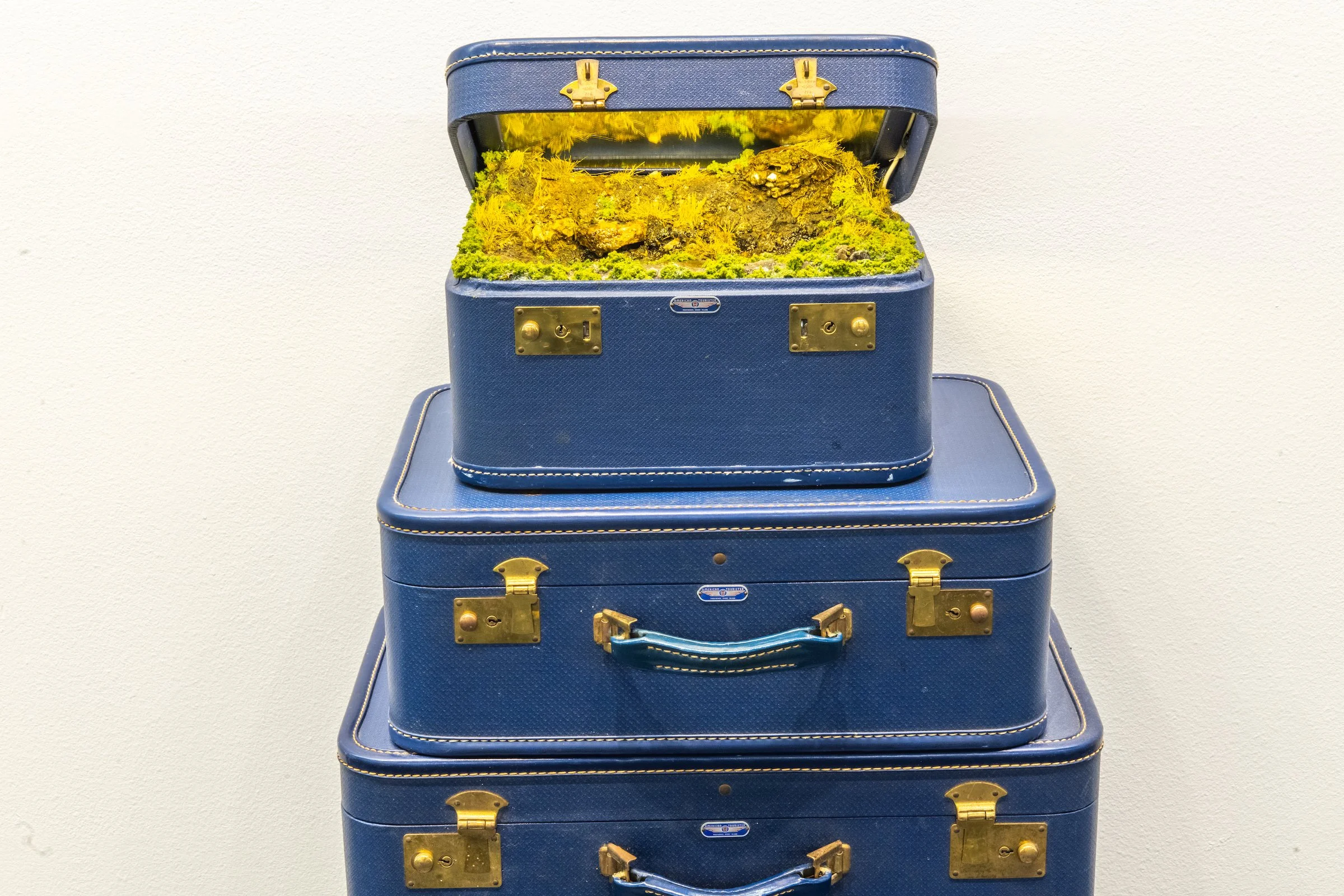 Traveling Landscape, "Blue Stack"
