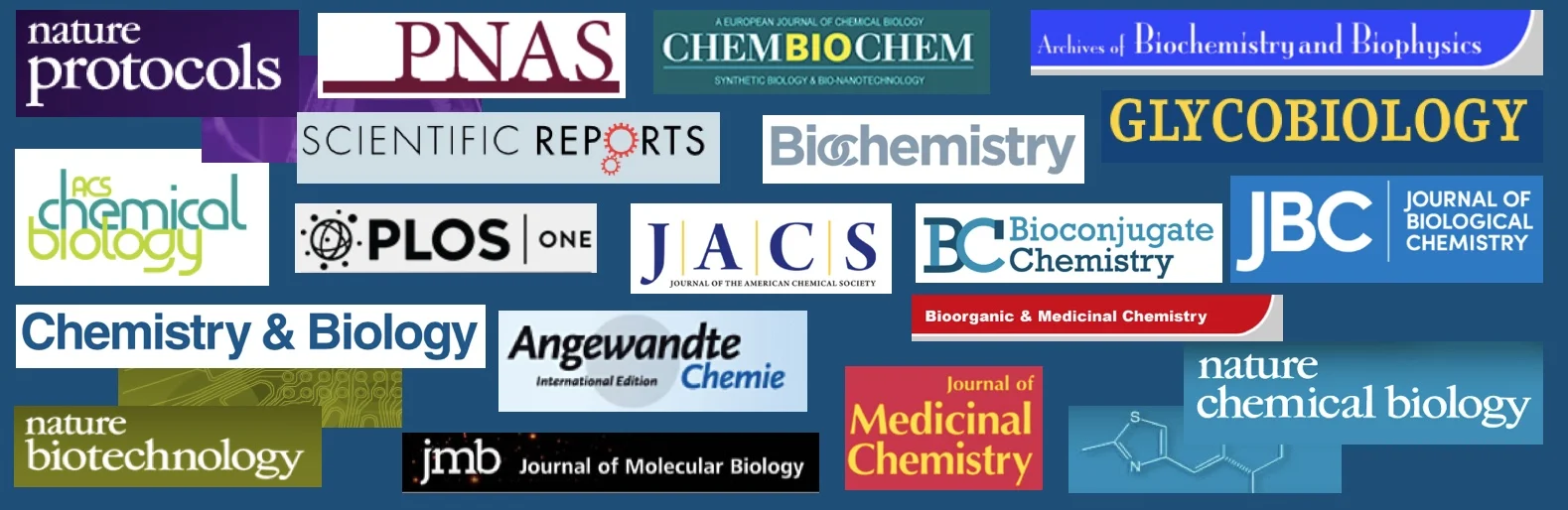 Publications Imperiali Lab