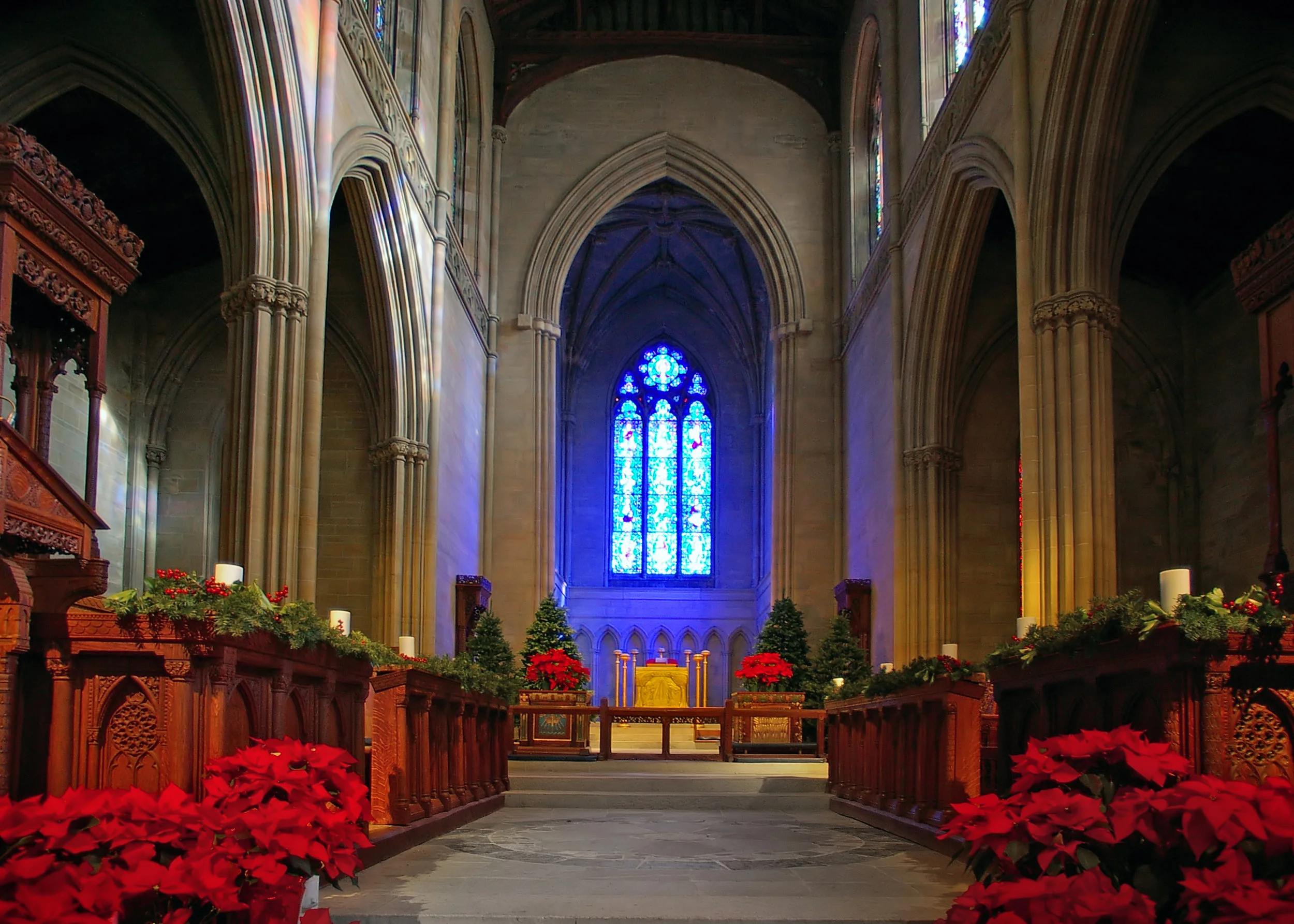 Bryn Athyn Cathedral's chancel, decorated for Christmas