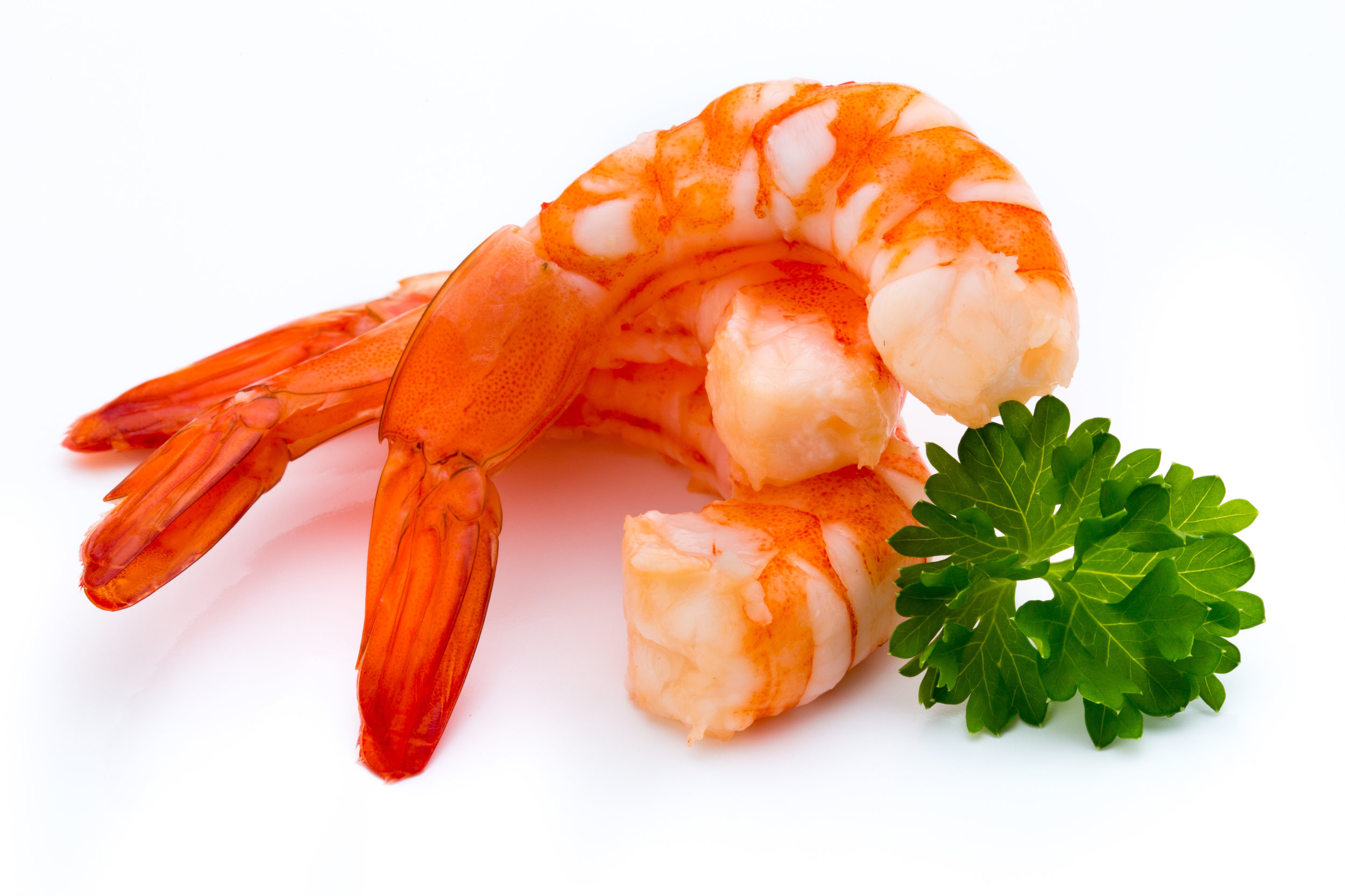 AdobeStock_151093851.jpeg