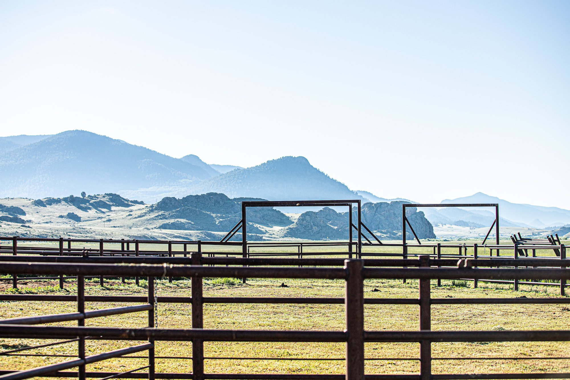 colorado eagle rock angus cattle ranch branding days 02.jpg