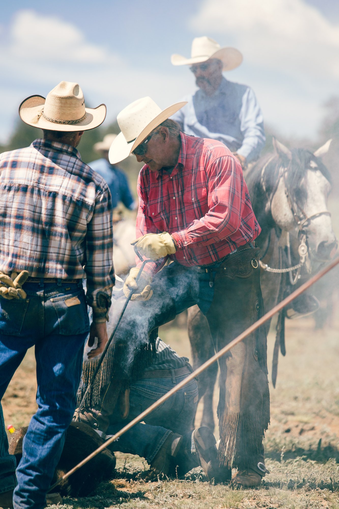 eagle rock angus cattle ranch branding days 2.jpg