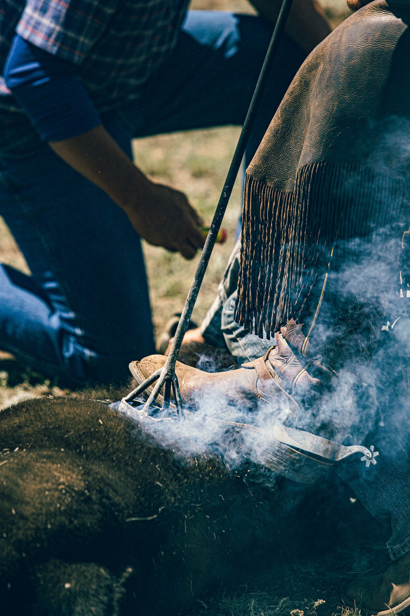 colorado eagle rock angus cattle ranch branding days.jpg