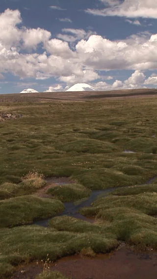 Gianfranco Foschino, Aymara , 2010, high definition video